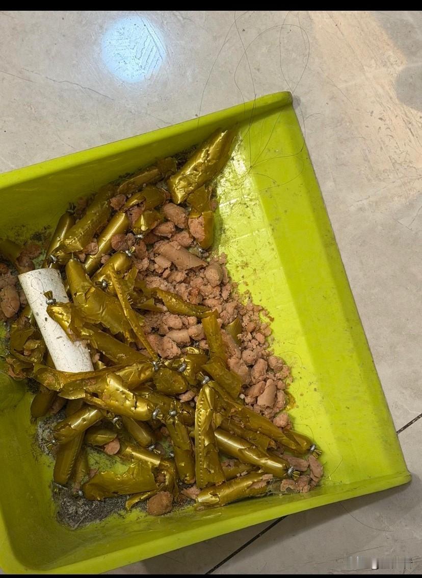 今天绝对少不了一顿揍！早上出去，中午回来就造成了这样！各位养猫人，遇到这样的情况
