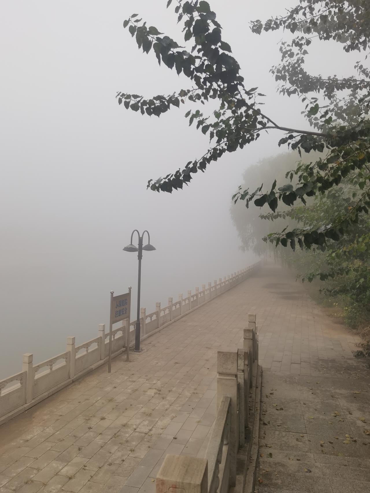 雾中漫步，静享自然之美
