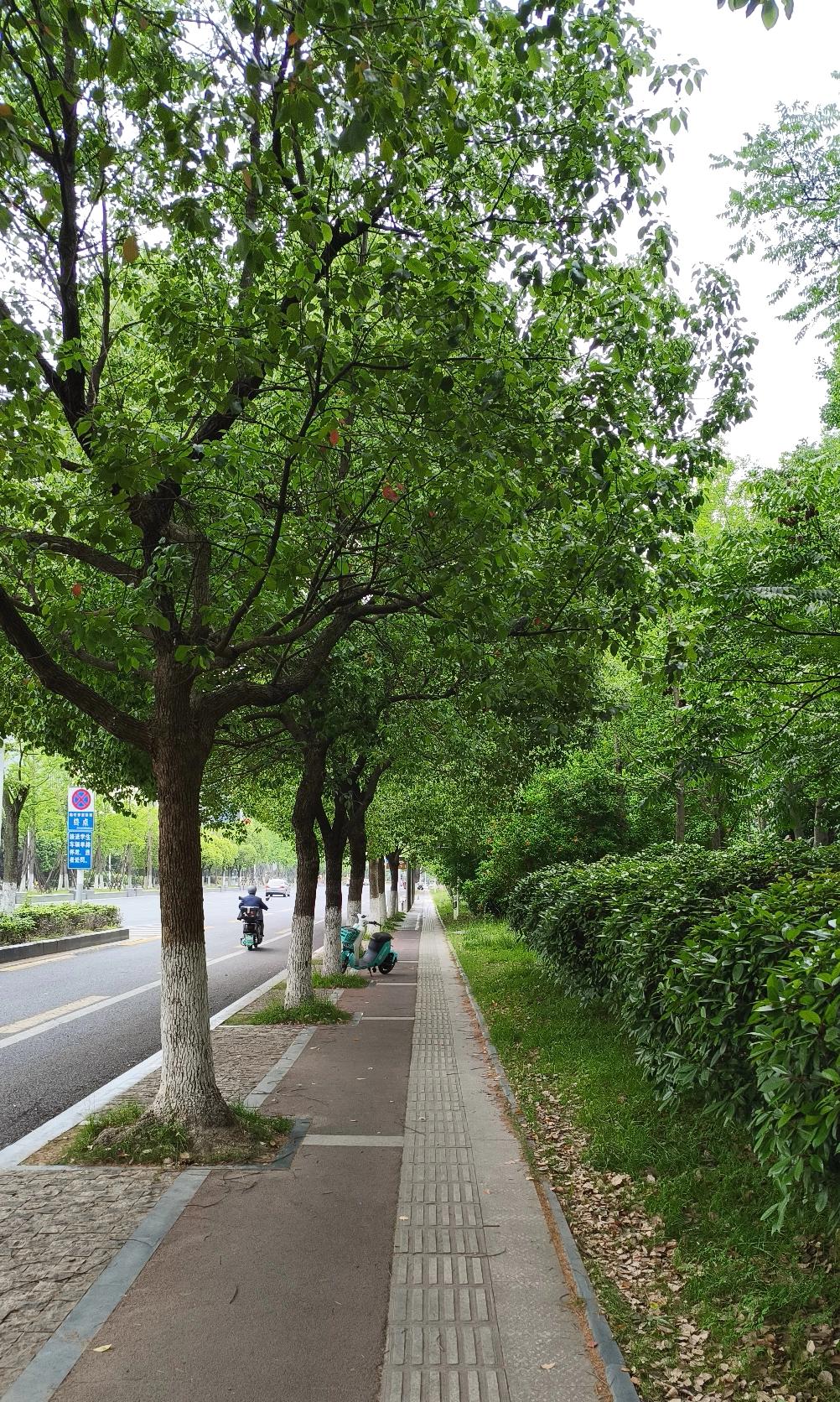 都说减肥要少吃、多锻炼、作息规律，那增肥反着来真的行得通吗？我看未必。
所有医生