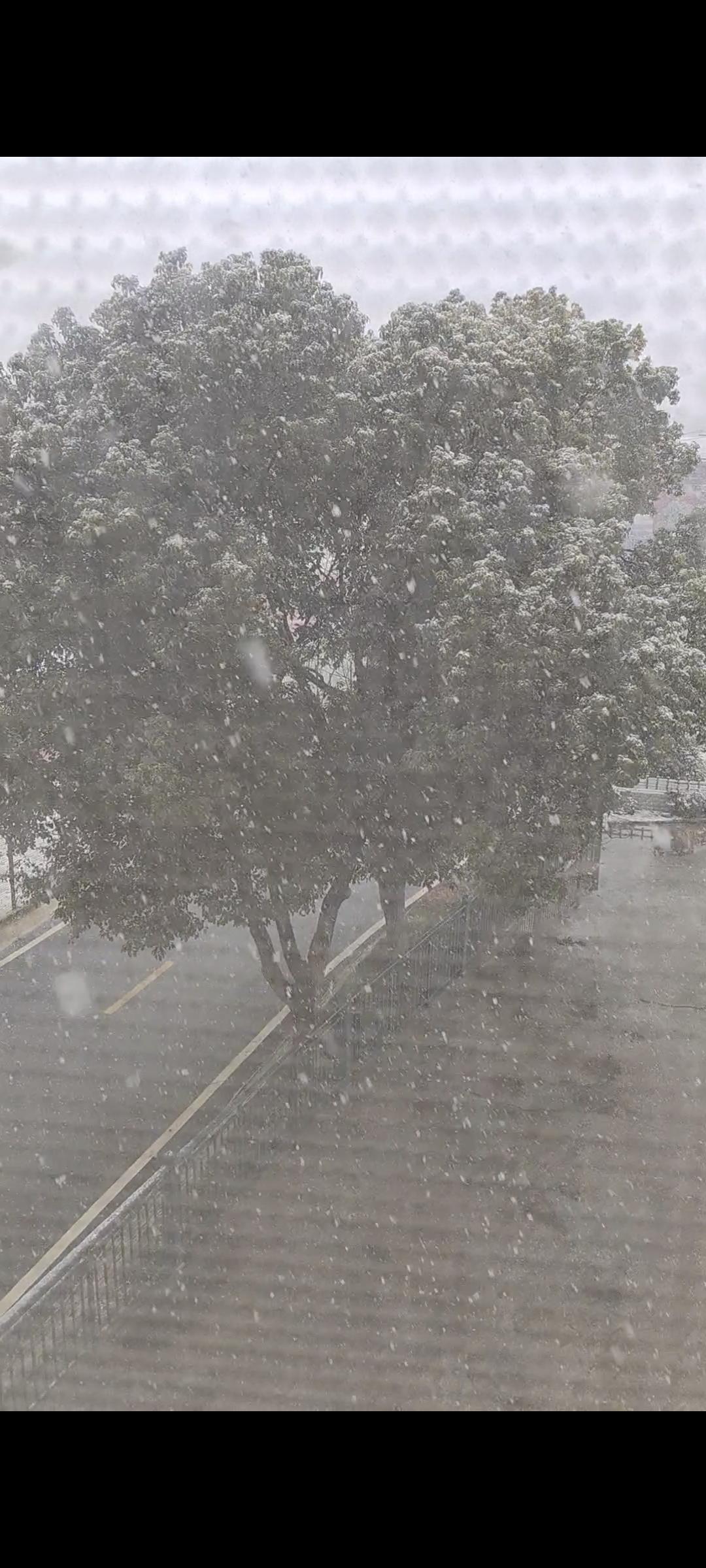 今天除夕，湖北的天气突然变脸，前几天艳阳高照，街上热闹得很。置办年货的人好多。