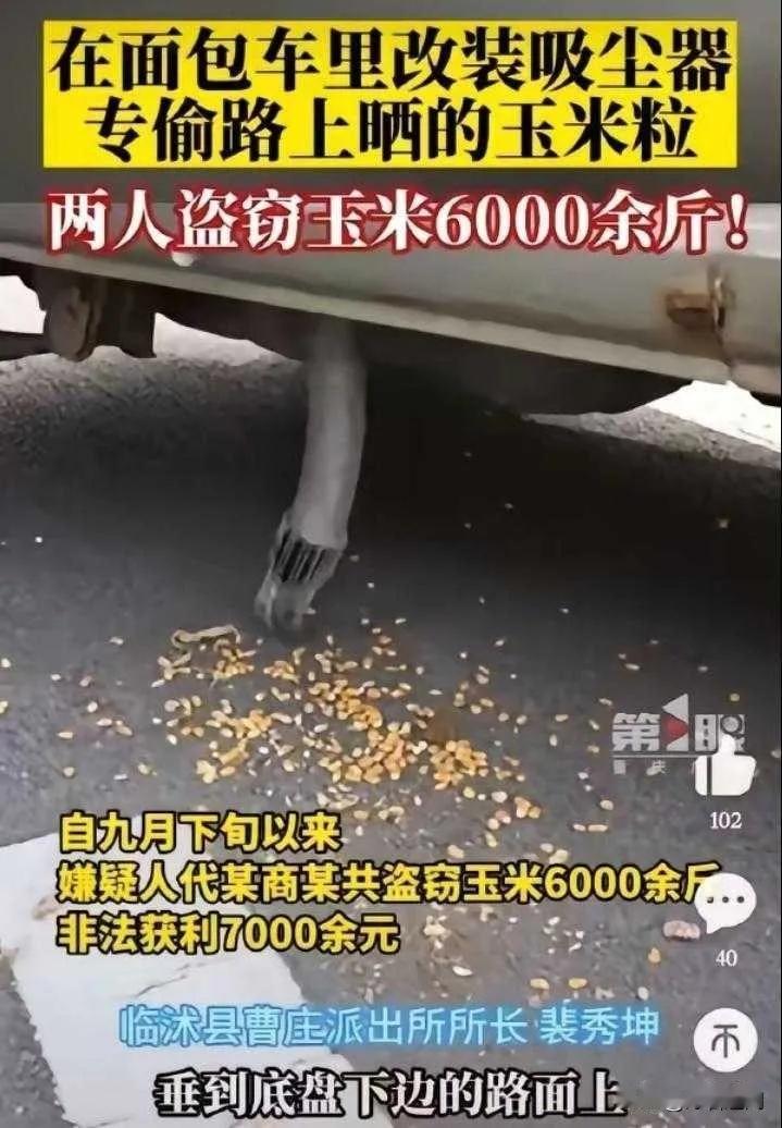 听说现在小偷不多了，这个有点水平啊。这些人还真是有头脑，去偷这些东西，人力物力减