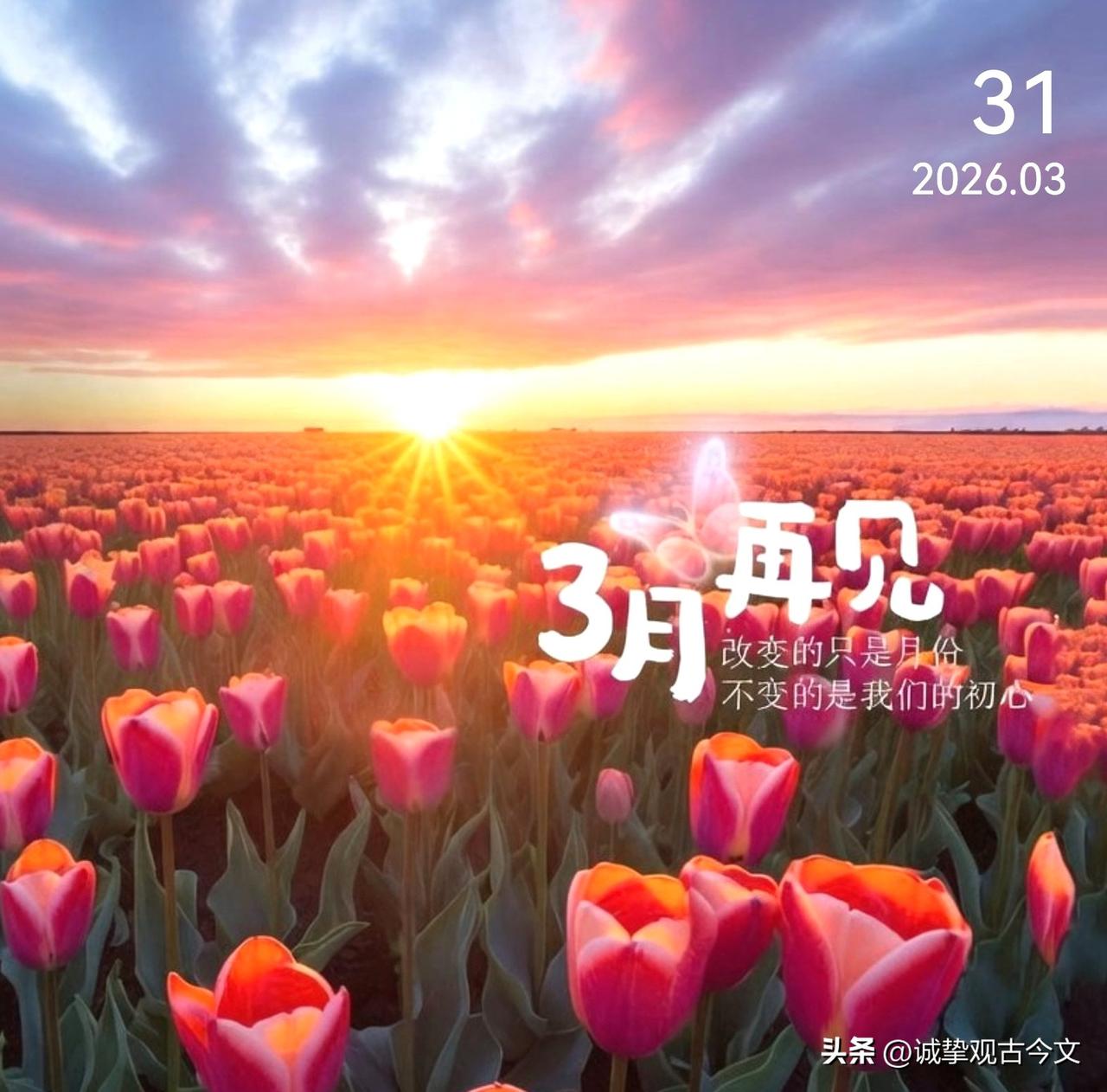 三月的最后一天，凡是过往，皆为序章。愿人间四月，春暖花开，欢喜如愿。早安！