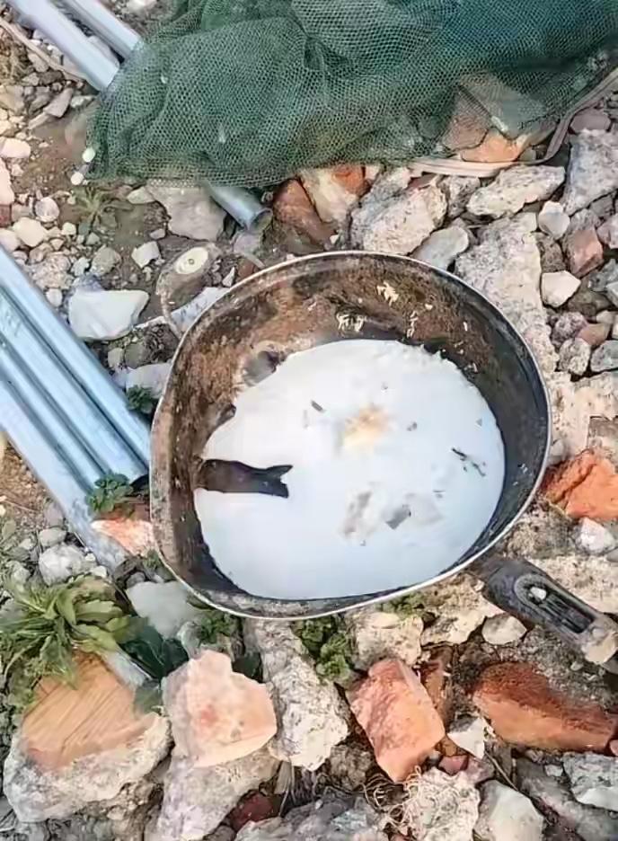 近日，安徽，一女子看家里牛奶过期，扔了觉得浪费，便喂给了自家小狗喝，没想到喂了两