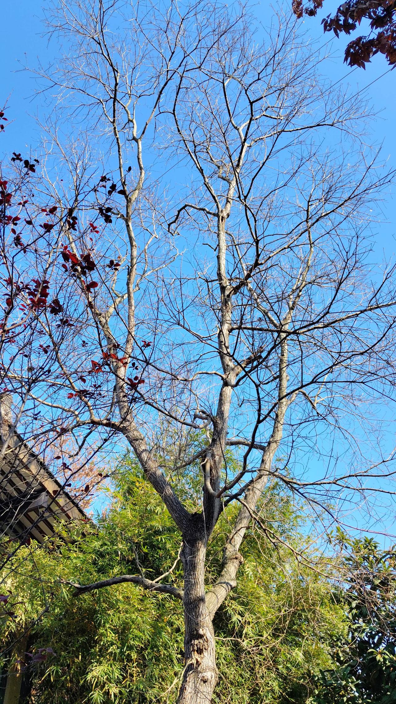 周末不必奔赴远方 把生活的节奏调成慵懒