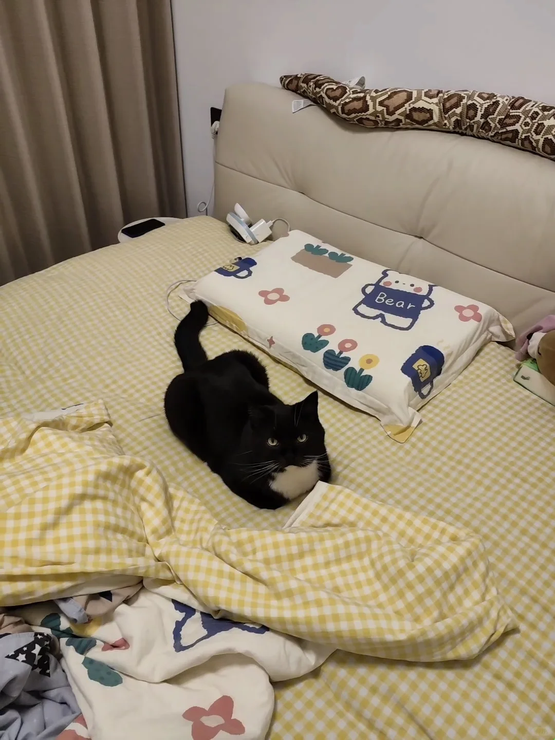 你好，这里不让停车