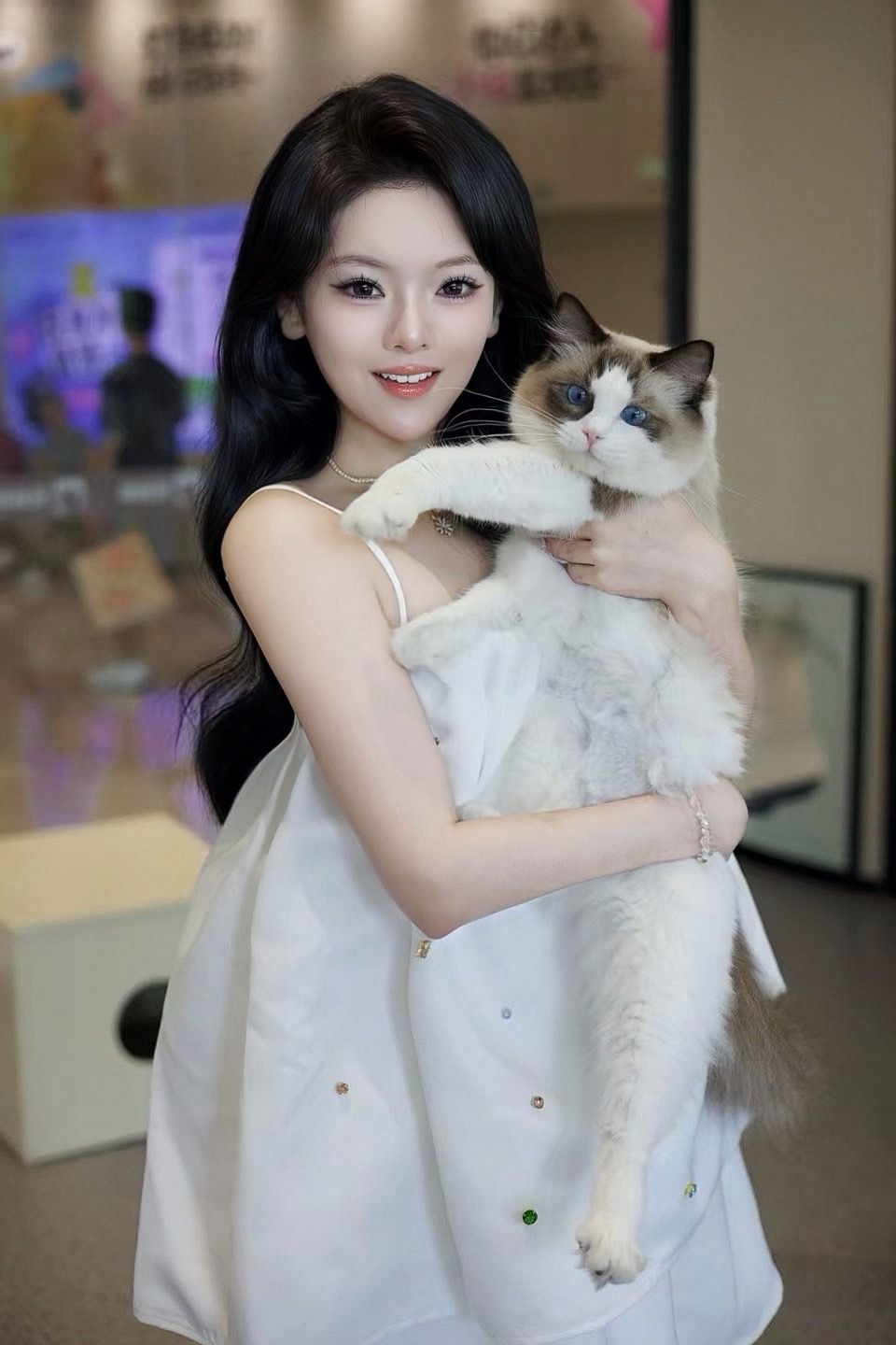 滴～ 你的小猫🐱   💥