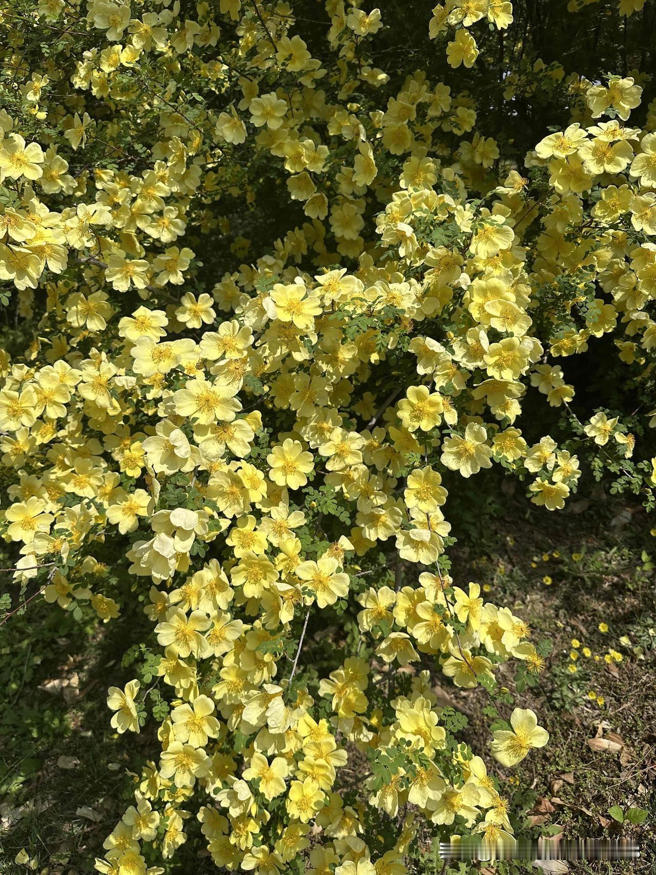 今天刮大风下大雨
但好在昨天大部分东西都搬过去了
今天就剩下收拾屋子了
疾风骤雨