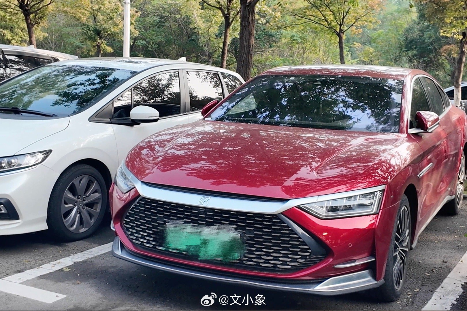 近期各地的高校校园里，比亚迪系列车型的身影随处可见!有一种“大学老师都在开比亚迪