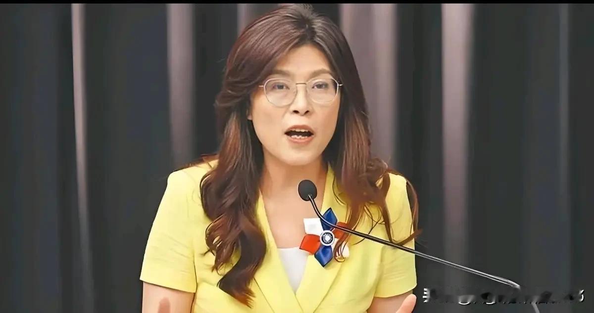 动作是真快，郑丽文迅速落实200多人的青年团体赴大陆参观和学习！


随着台湾地