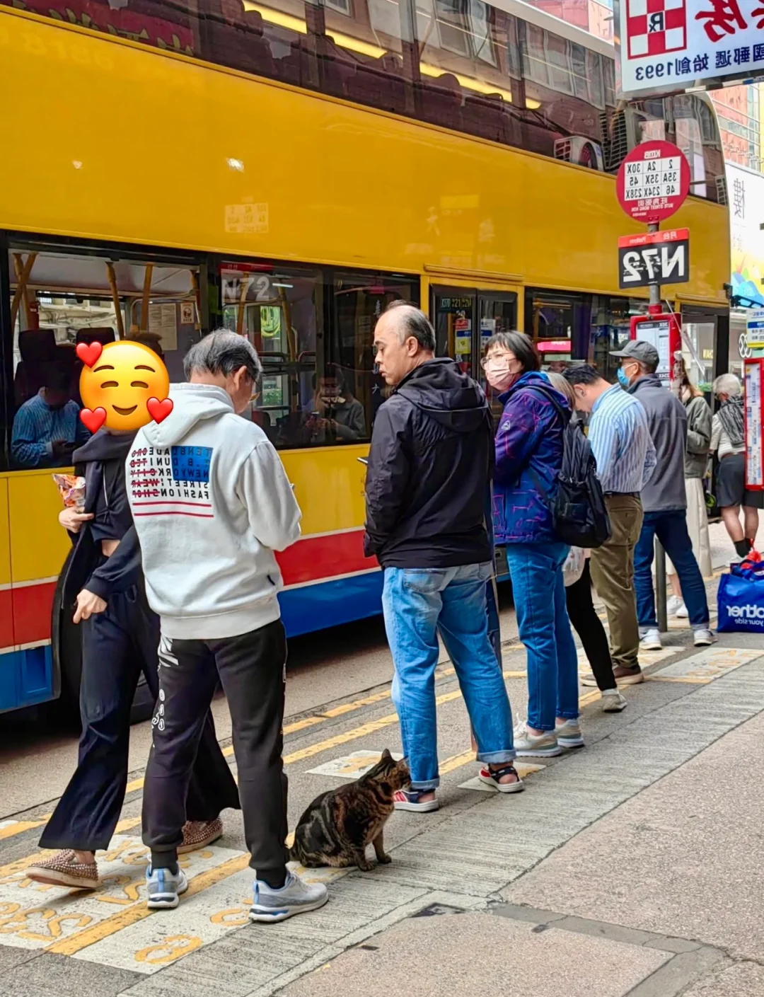 🇭🇰HK貓店長系列💛阻B排隊等巴士🚌
