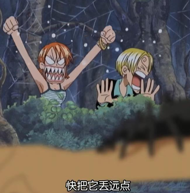 海贼王 海贼王 怕蜘蛛的娜美山治 