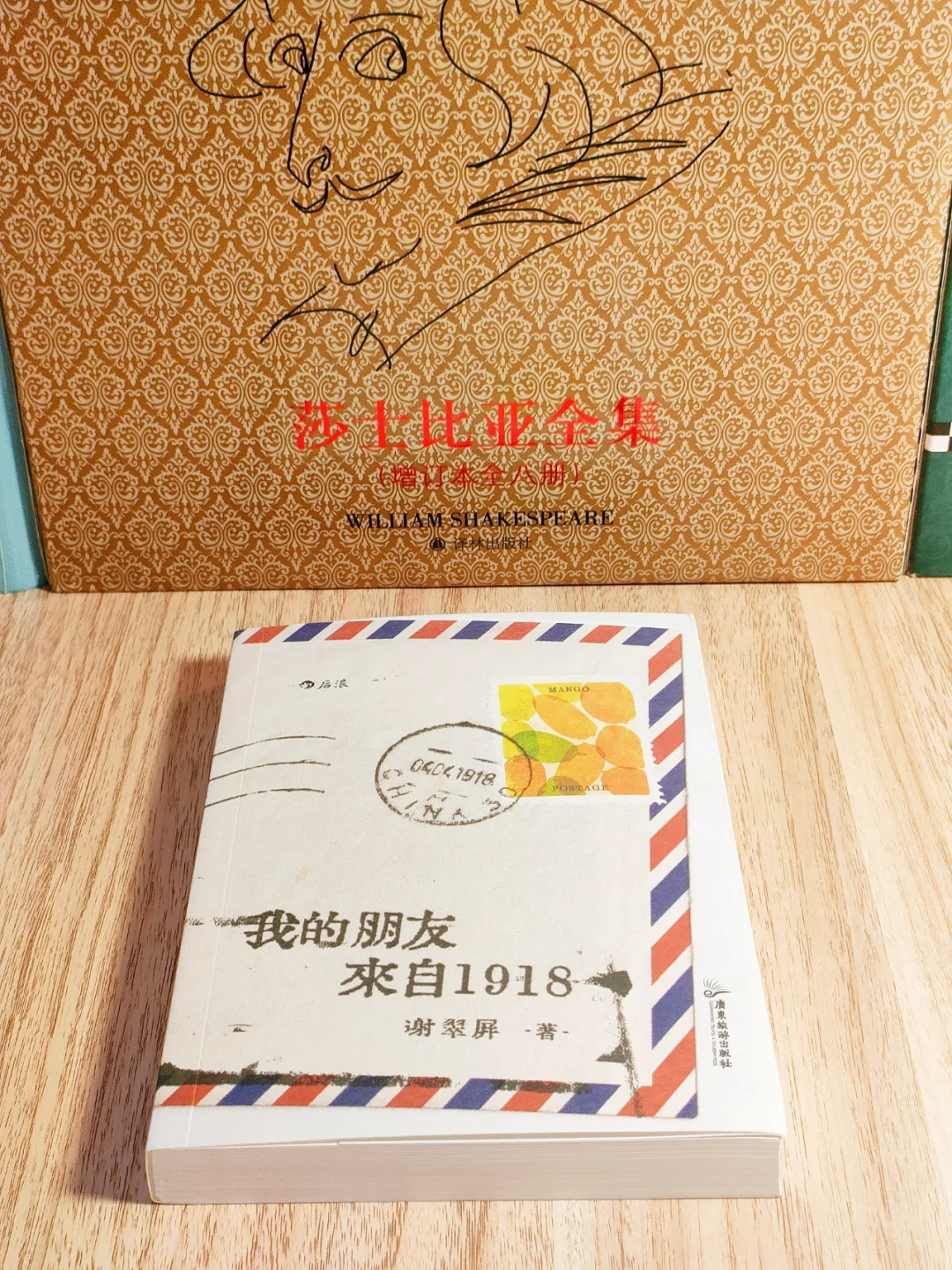 熬夜看完！该怎么告诉你这本书有多好😭