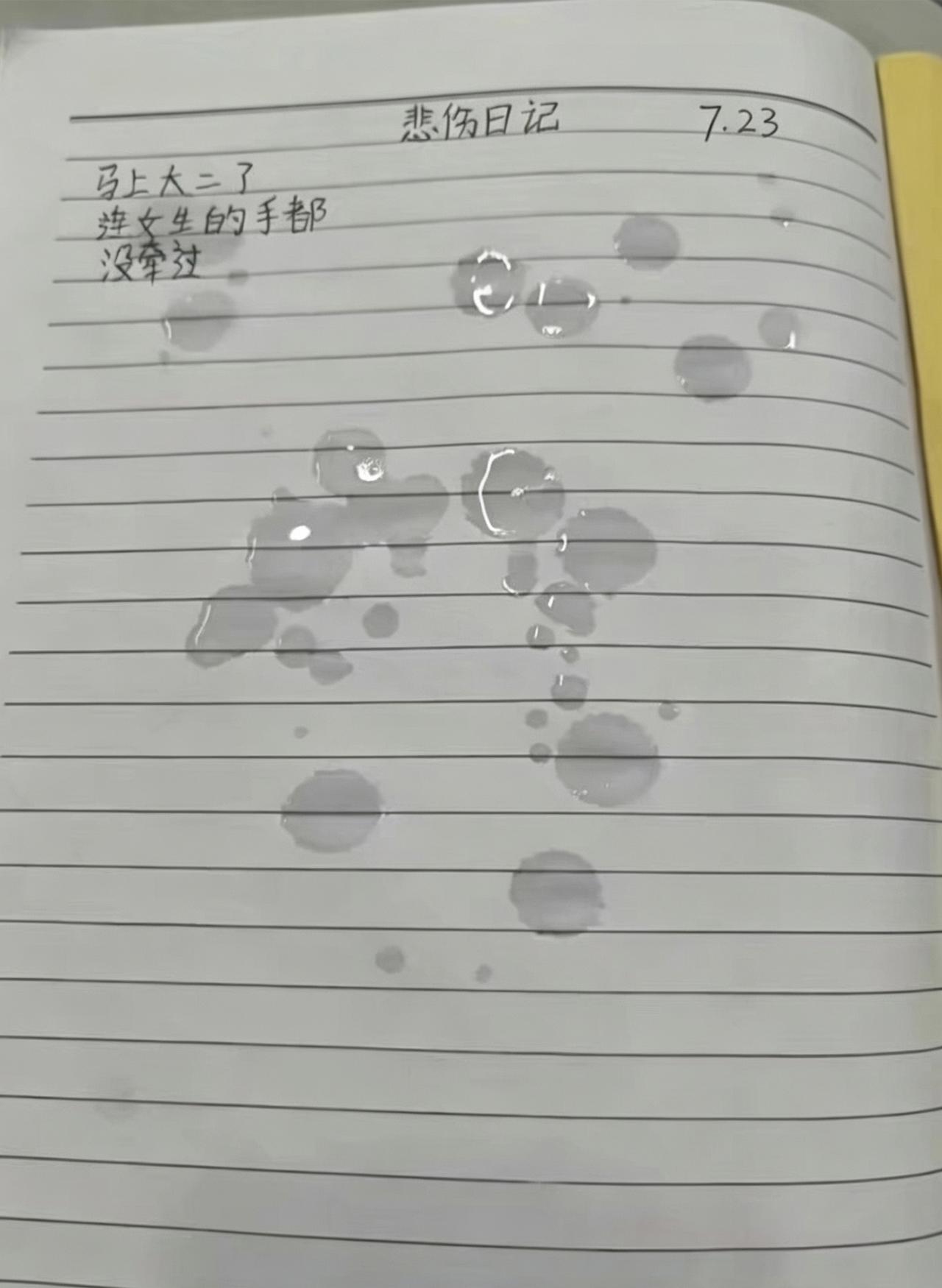 偷看一个娃的悲伤日记，这悲伤很真应该不会是演的。
   如今手机给人足够虚假的快