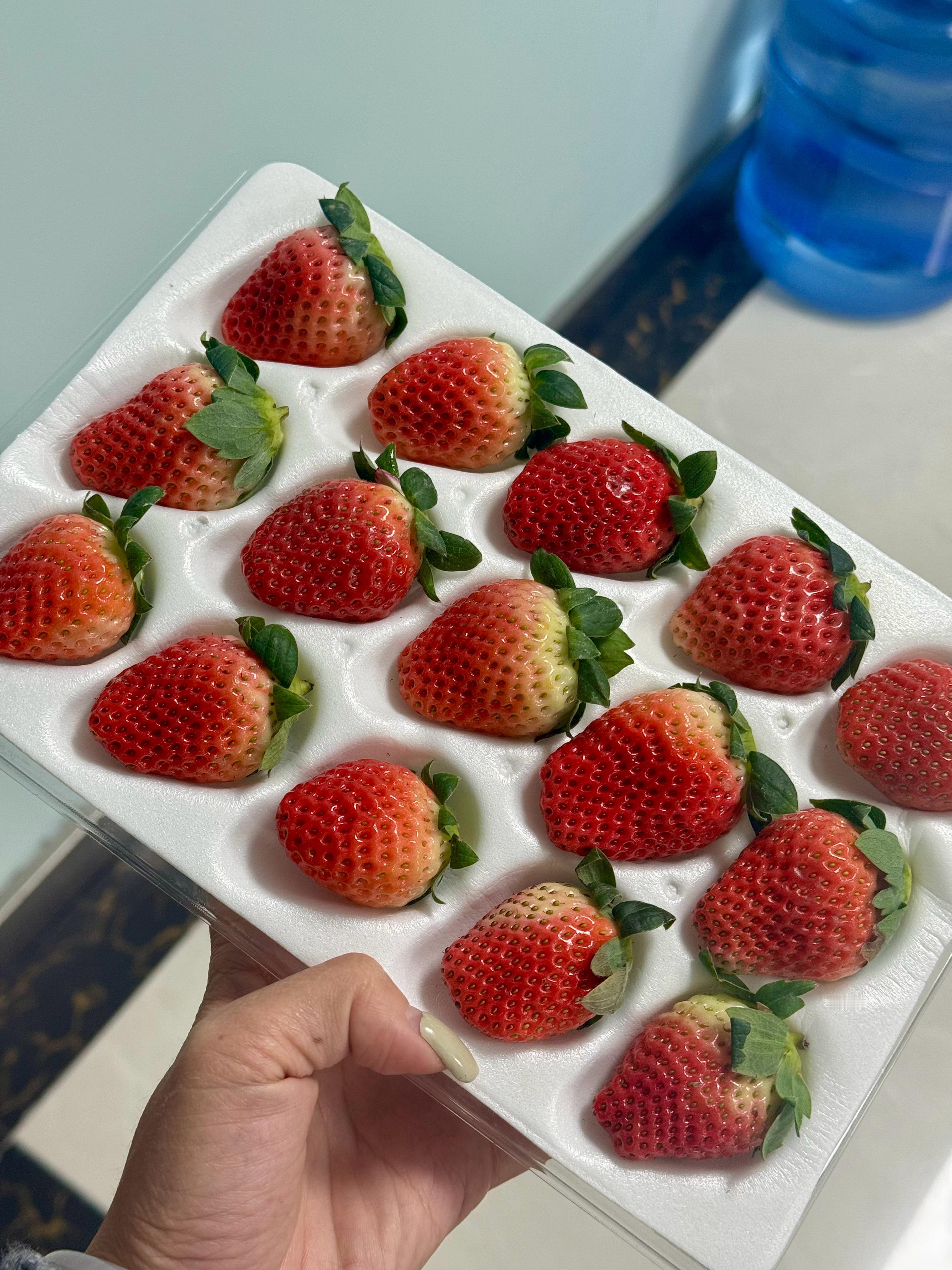 凉山露天的牛奶草莓，酸甜口，比香野草莓味淡一些，但是价格也便宜不少，不知道大家感