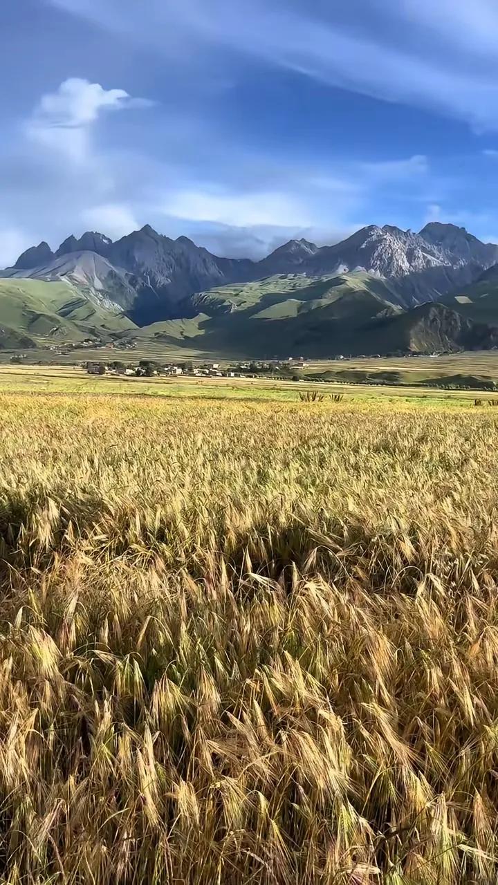 过去那十七年，我吃安定的那十七年，是我心理最不正常的十七年，虽然没有出大事，但是