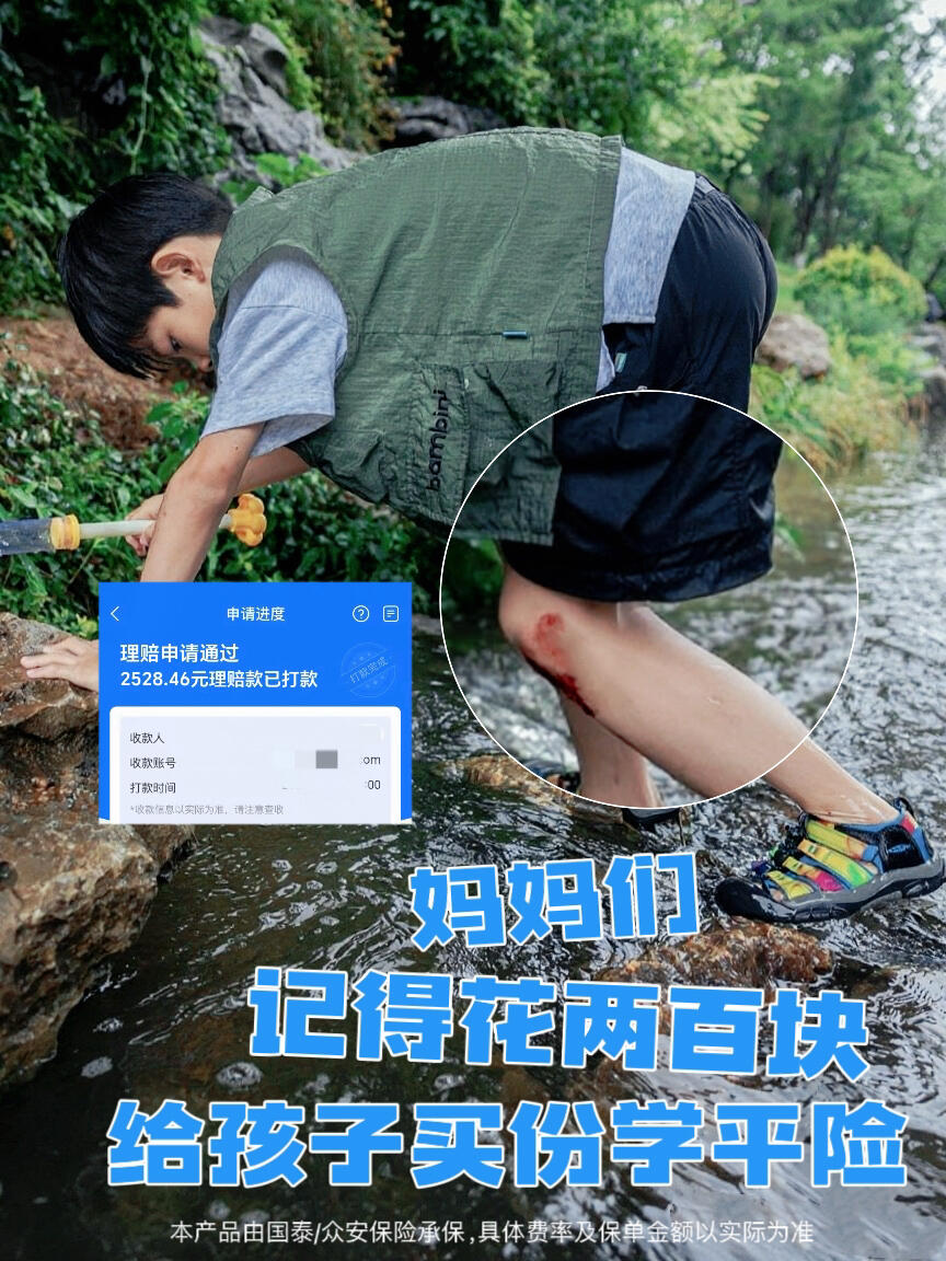 妈妈们，记得花两百块给孩子买一个学平险
