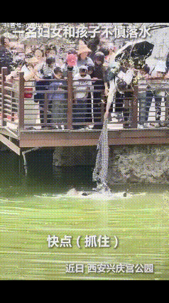 “上人民日报了！”近日，陕西西安兴庆宫公园内，一名男孩不慎落入水中中，其母亲见状