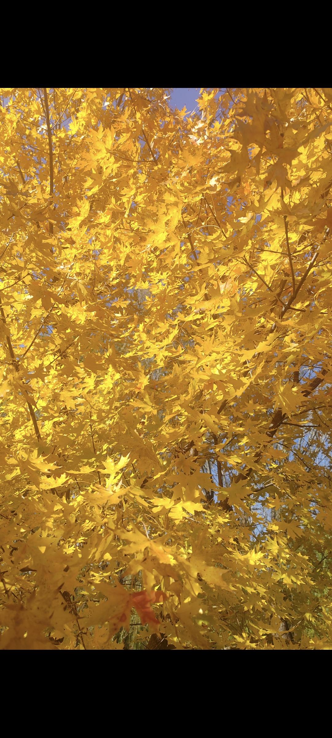 今天温度不错，天气温和。