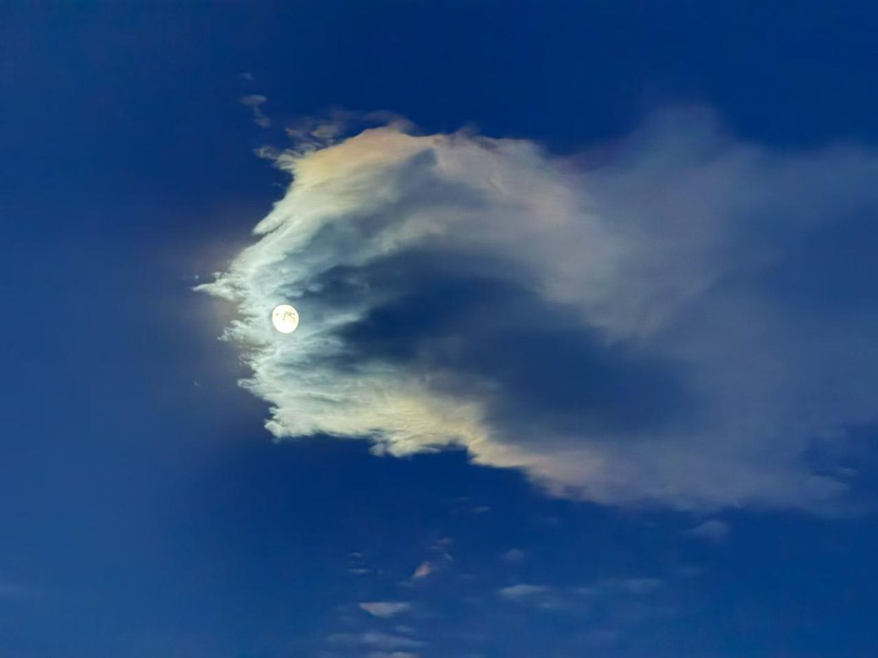 皎皎空中孤月轮