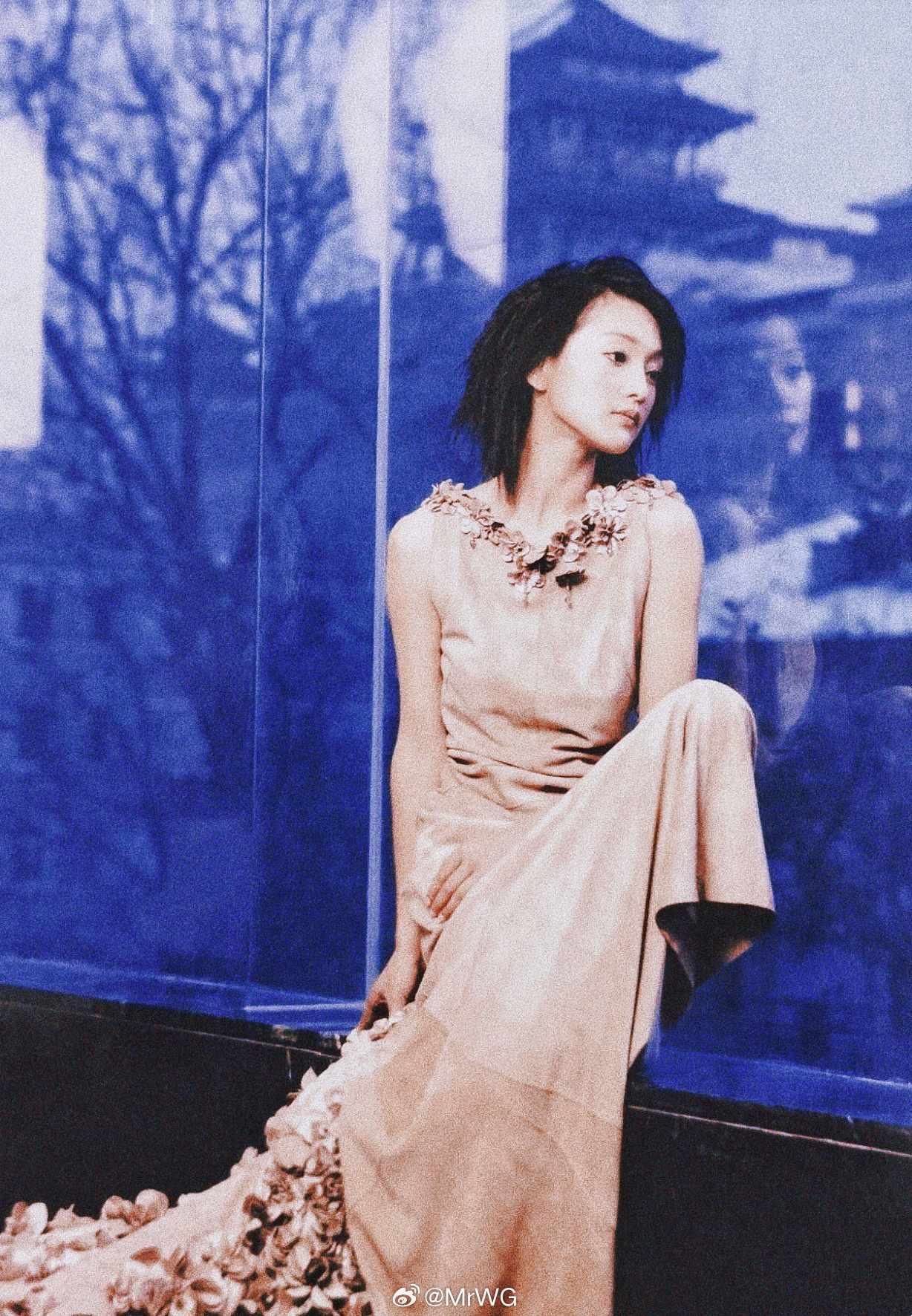 周迅旧相簿子 倚窗眺望古城的时尚文艺精灵。📸🍂周迅的自在人间。周迅