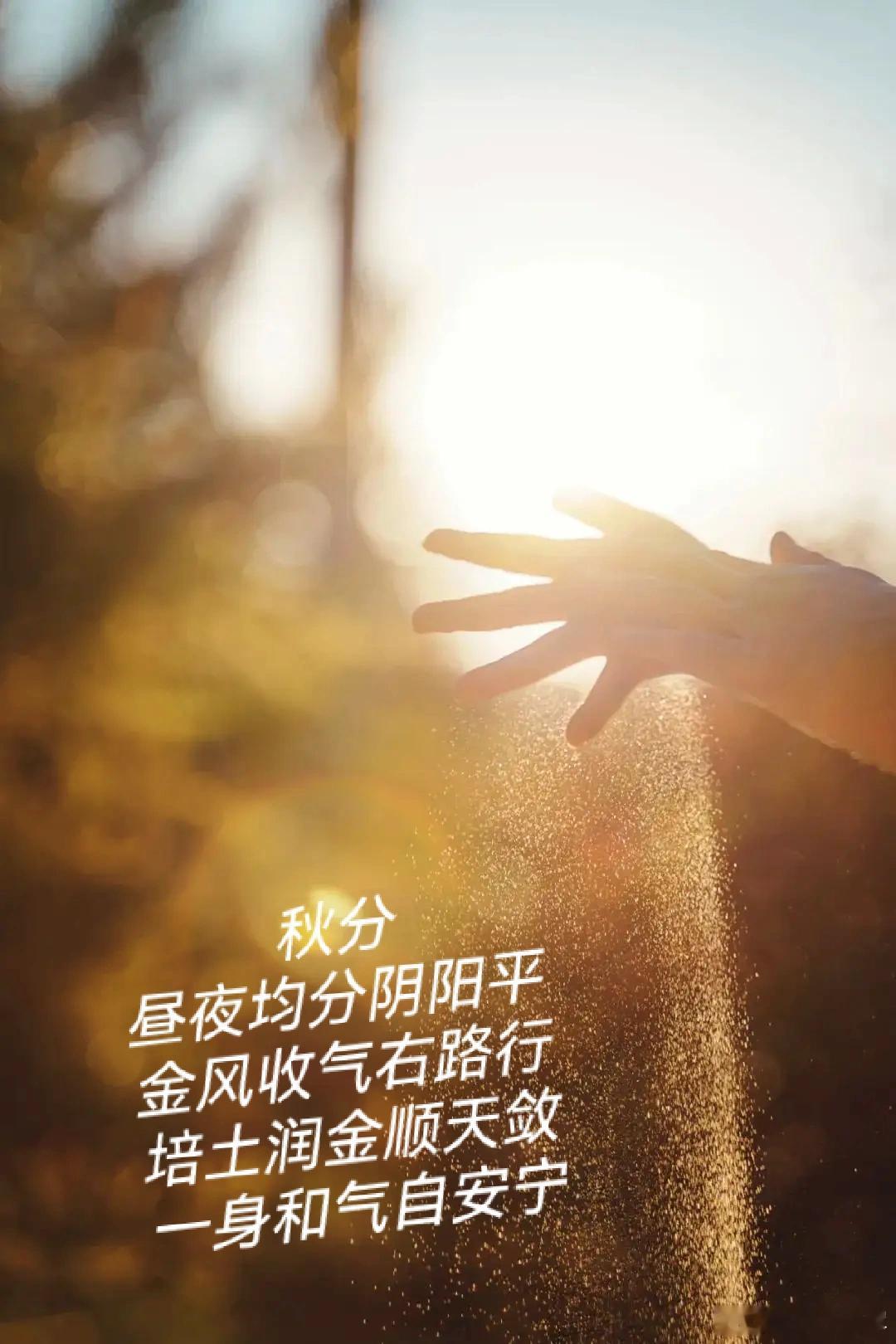 乾坤能静肃，寒暑喜均平。当秋风轻拂耳畔，带着丝丝凉意与无尽遐想，我们悄然迎来二十