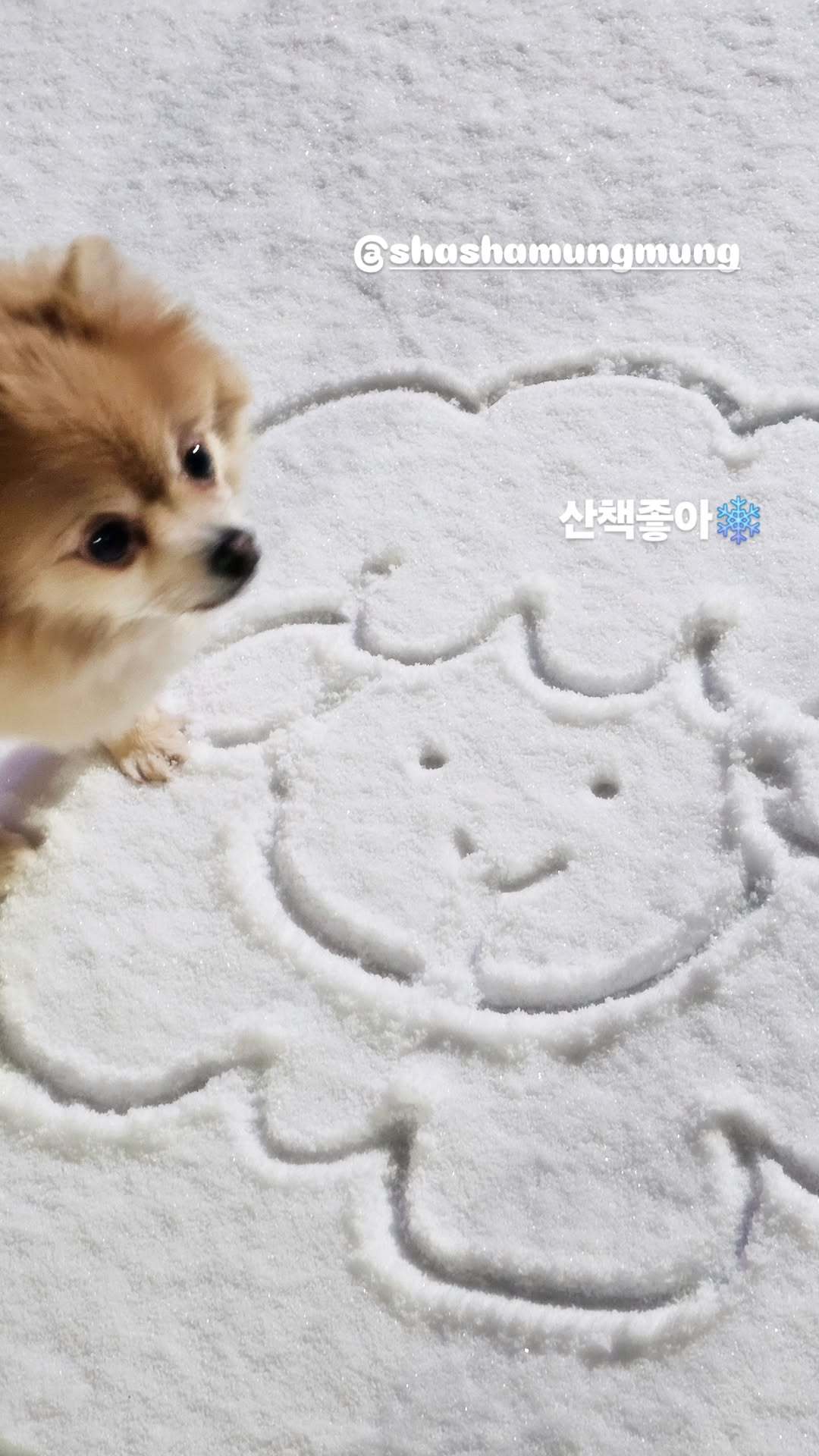 “CB百蓝_。251205金厉旭 ins story更新：喜欢散步❄️ 