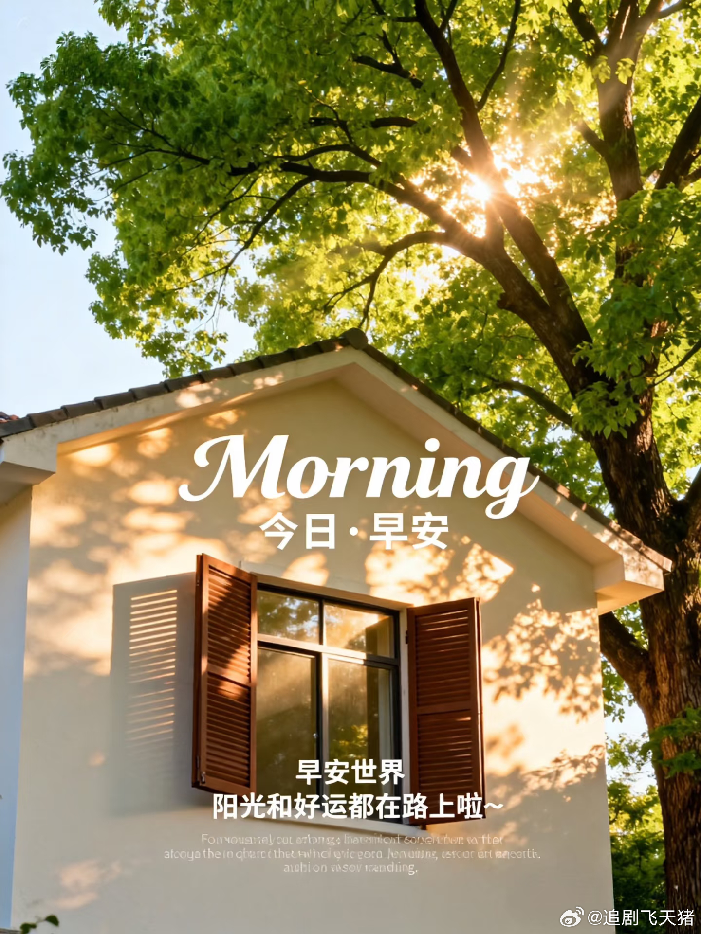 早安我亲爱的粉丝朋友们，我们开开心心过好每一天，珍惜当下好时光早安