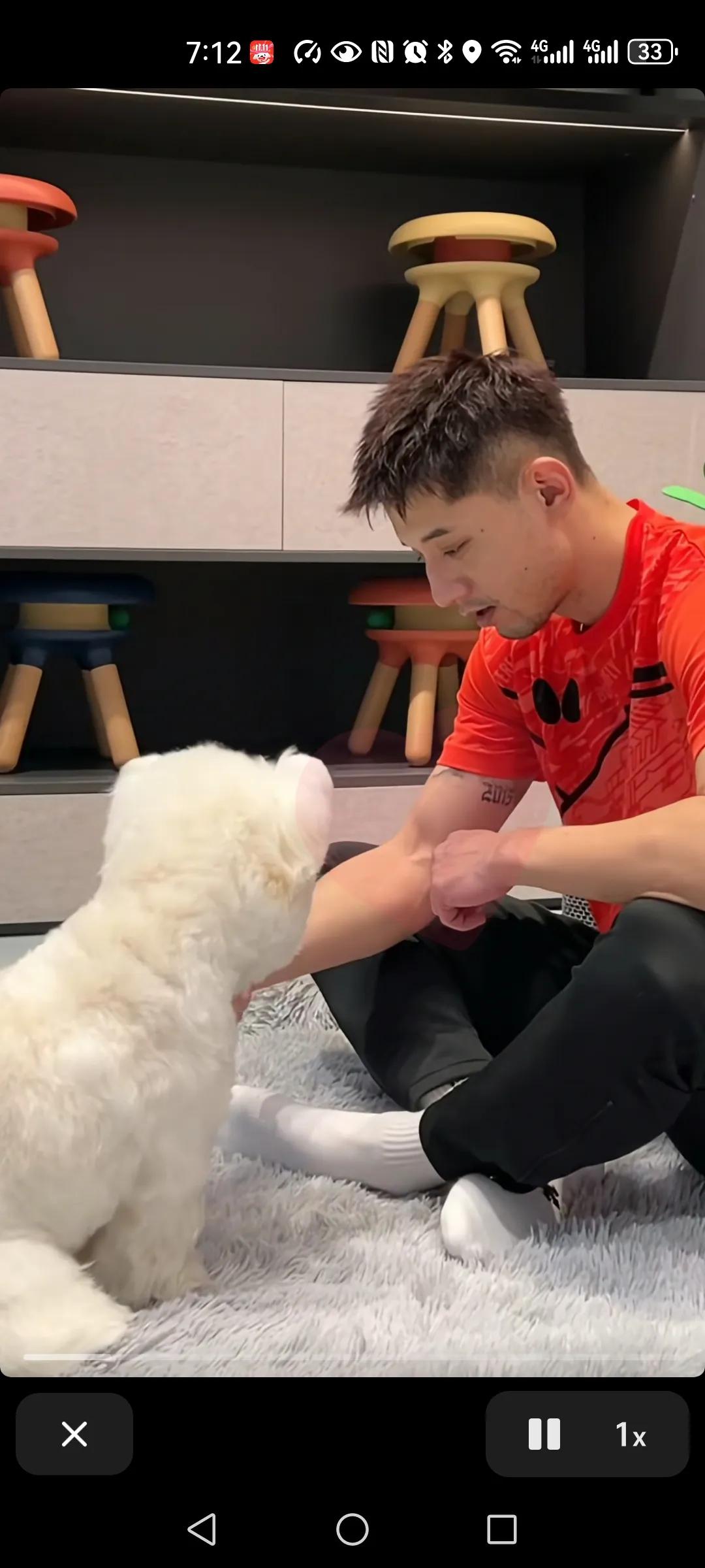 新鲜的张继科和他的金牌弟弟在一起击掌[赞]
国乒运动员里最意难平的就是张继科了，