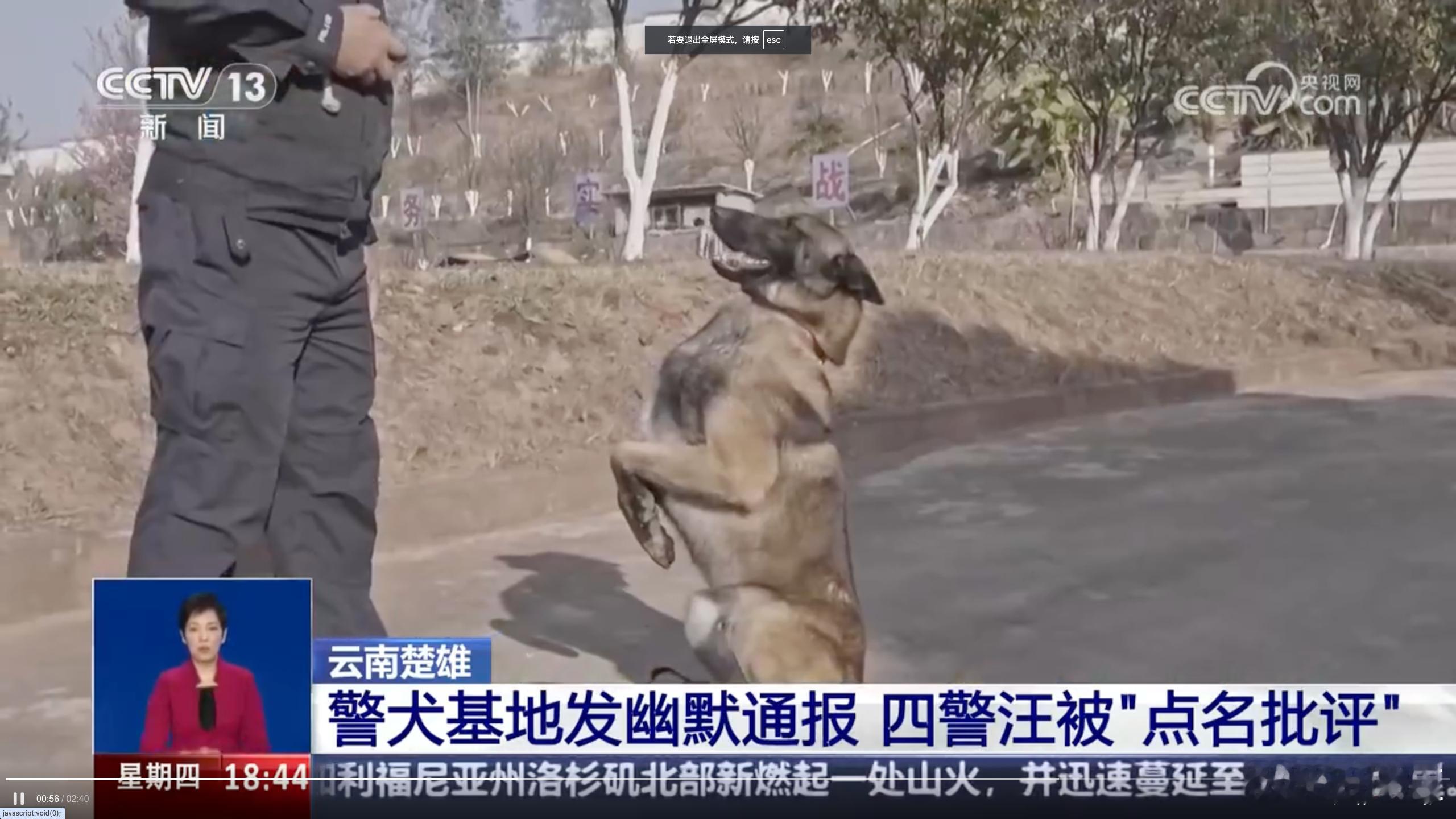 四只警犬挨个被点名通报批评 都快过年了，谁想上班啊！ 