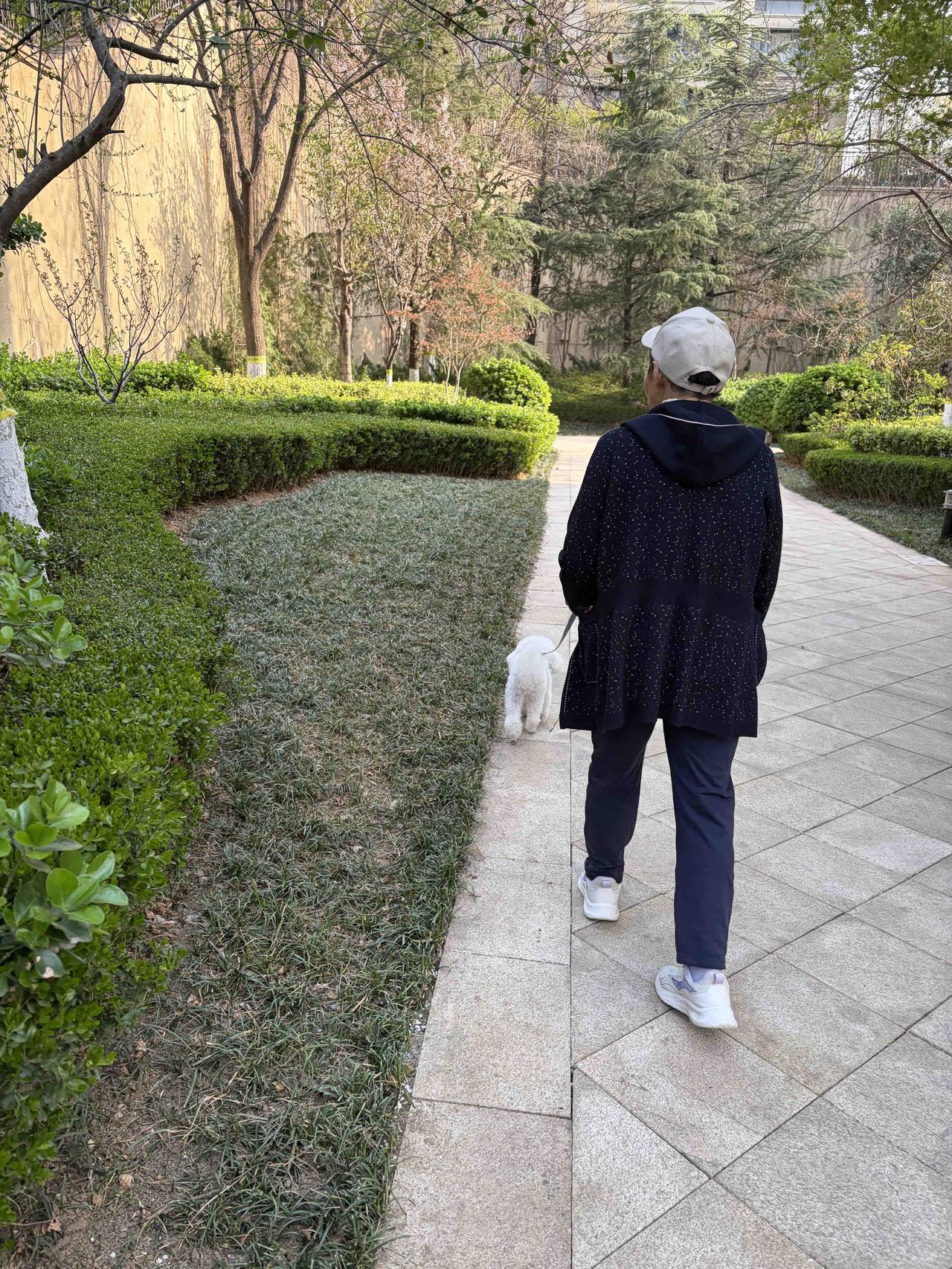 江西之旅结束，顺路去了济南，陪老母亲小住两日，下午返回龙口。

       本