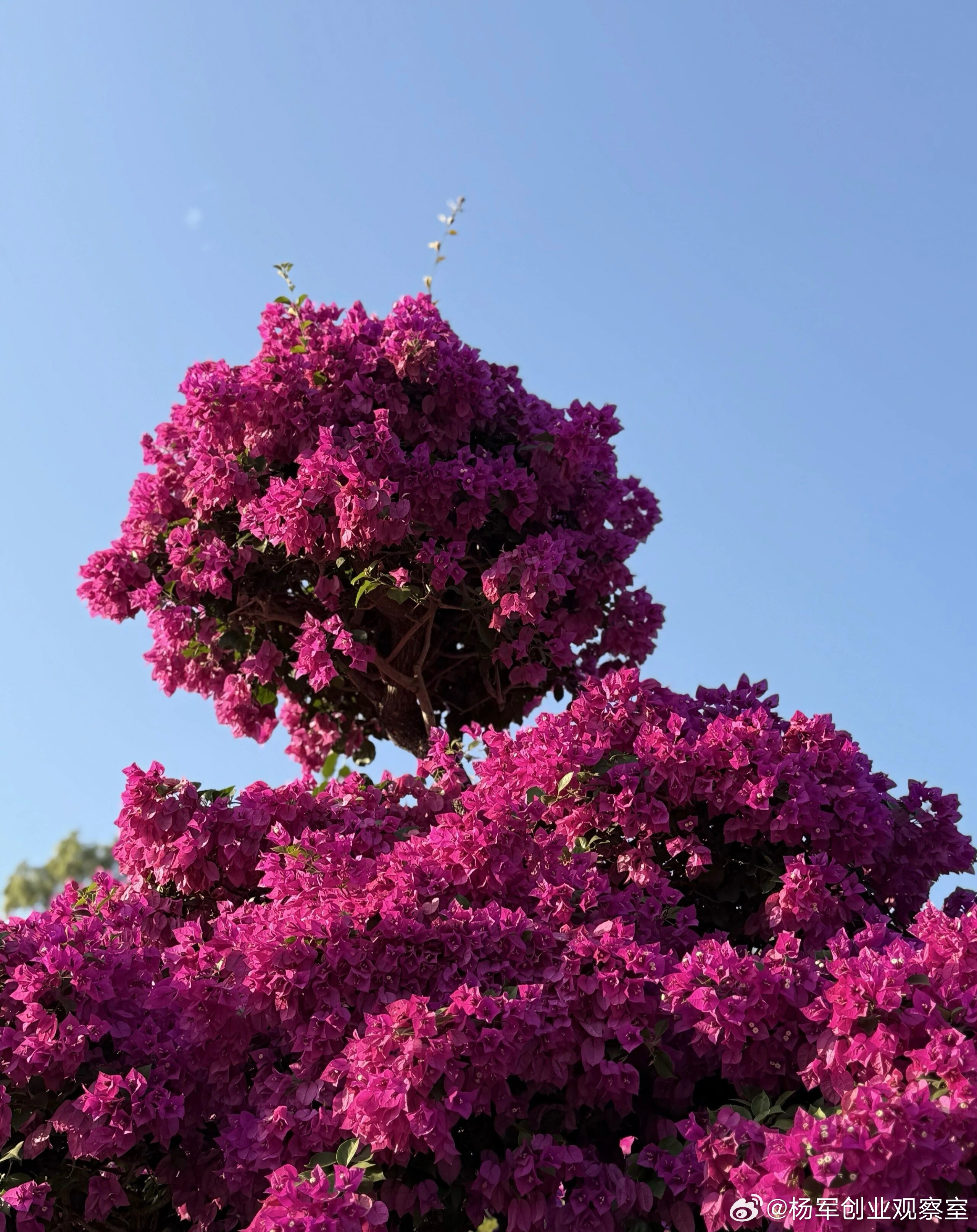 选员工，你会挑能力超强但态度差、搅乱团队的还是能力普通但勤恳好学、积极协作的？答