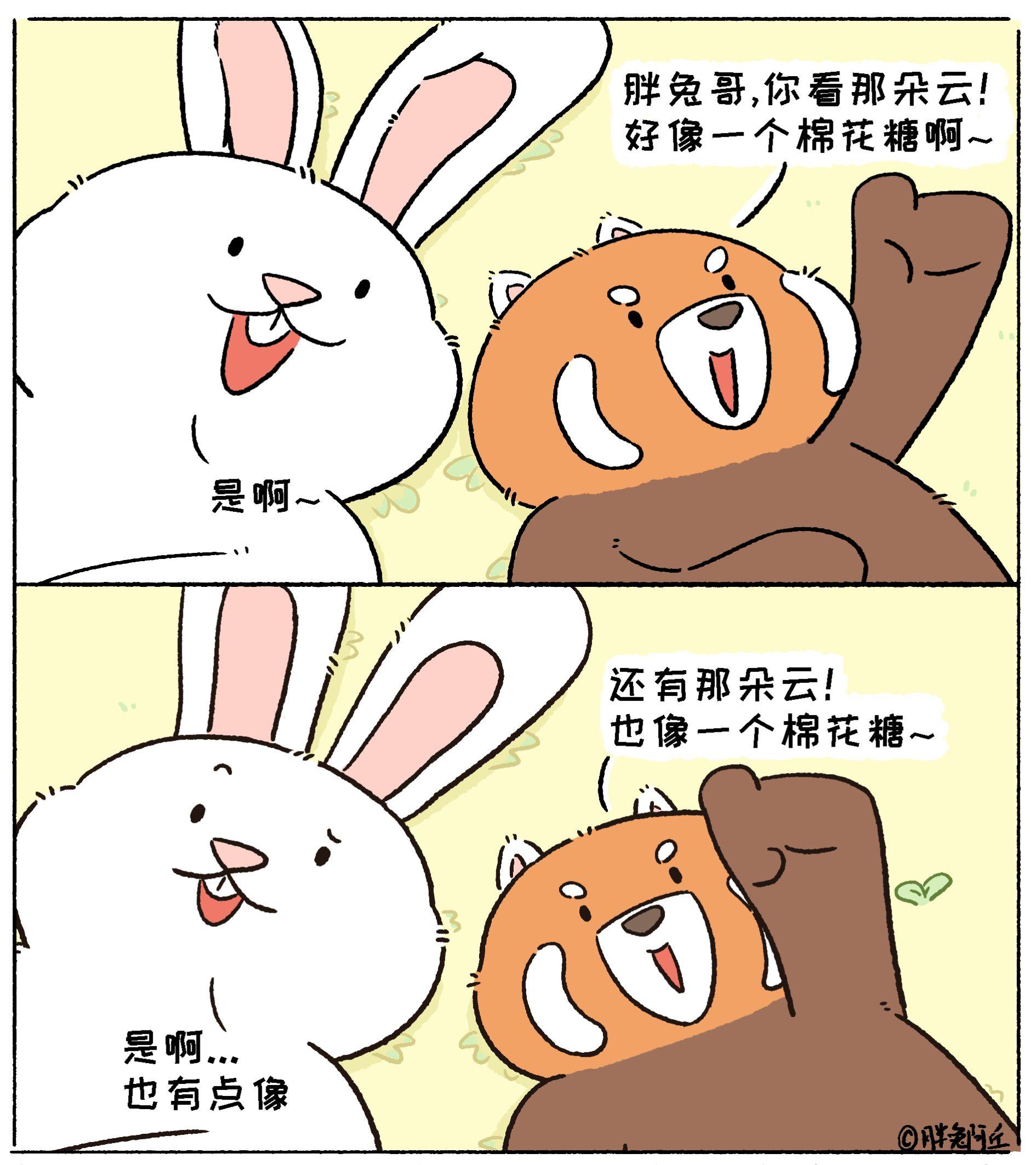 等大风停了，我们去好好晒太阳~