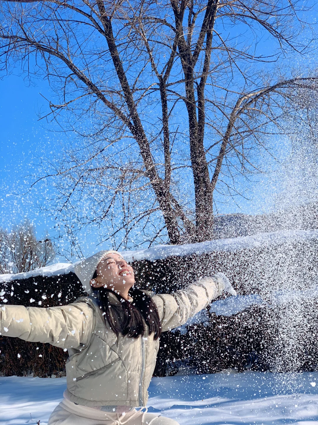 已经开始期待12月的吉林了！！！❄️