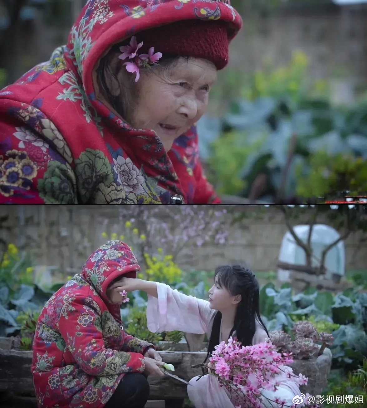 李子柒与奶奶互相治愈！ 