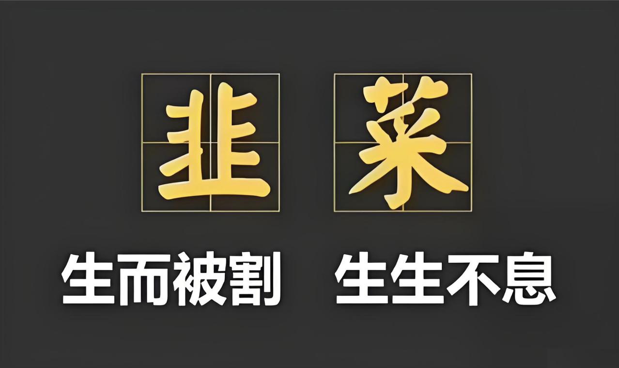 我注意到，个别人打着所谓“私募魔女”“首席经济学家”等光鲜头衔高价卖课，这种行为