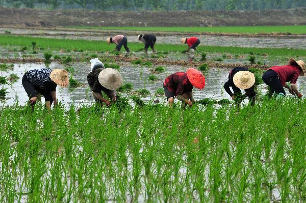 当年温铁军提“人民经济”，被三大名家围剿，骂声铺天盖地！

几年过去，那些高薪高