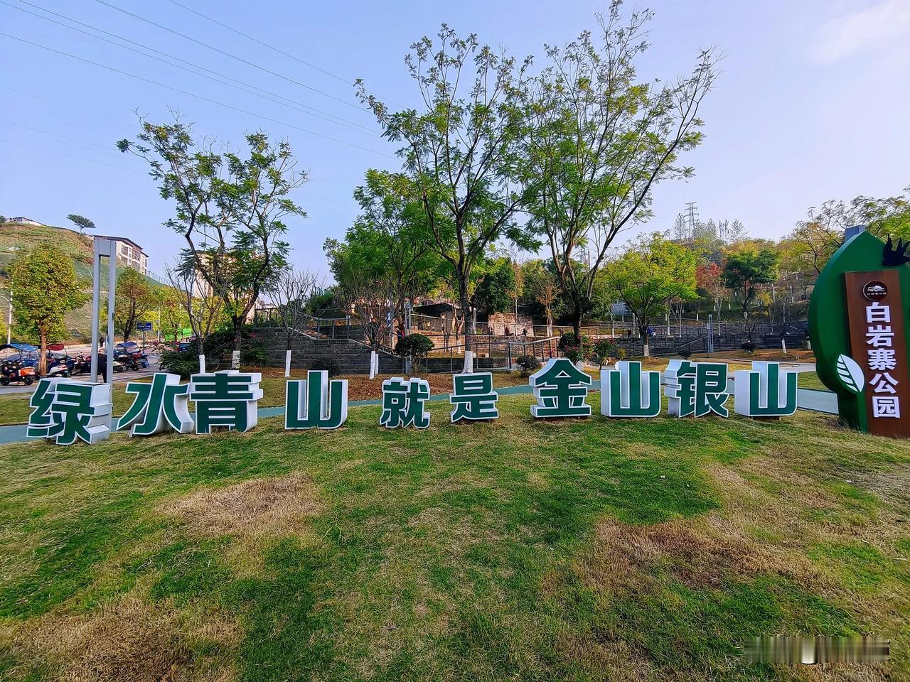 寒冷冬天，万州区白岩寨公园，水杉杉树红了，冬日秋景！