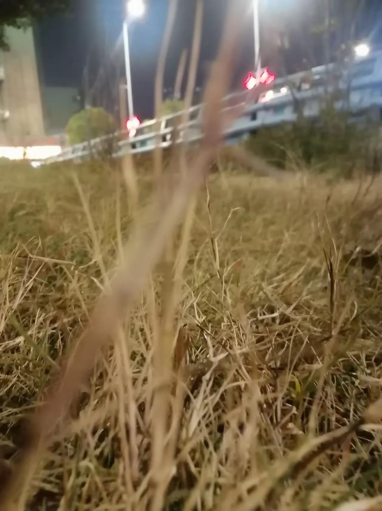 邻居家28岁的姑娘，硬是把婚姻过成了“明码标价的生意”！大学毕业就宅家啃老，不上