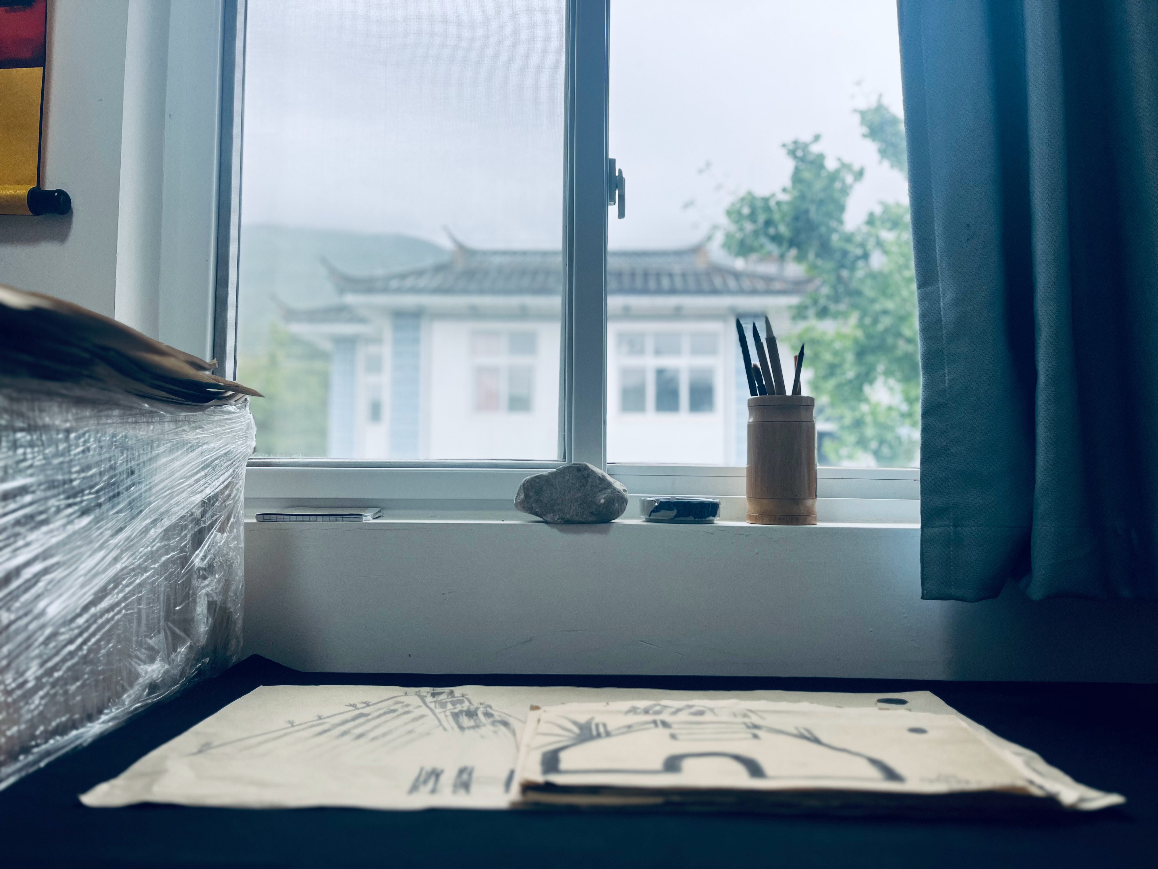 下了一天雨，没有下楼。继续练习毛笔，画了山、桥、船、竹篓、灯笼，还有一碗鸭蛋面，