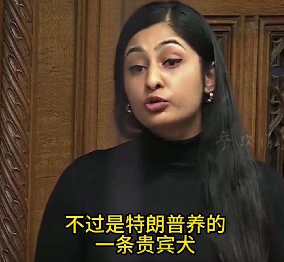 美国把马杜罗抓走，英国拒绝谴责，议员质问；难道你们是特朗普养的狗？其实世界真理并