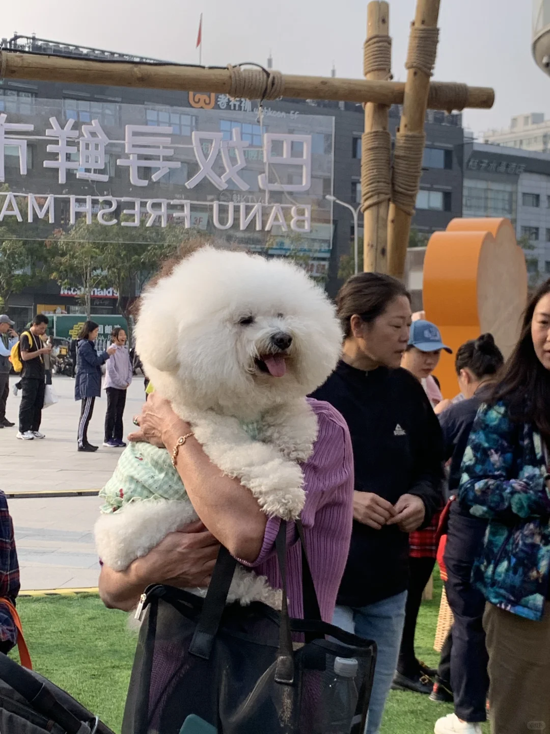 谁还不是妈妈的大宝呢😋