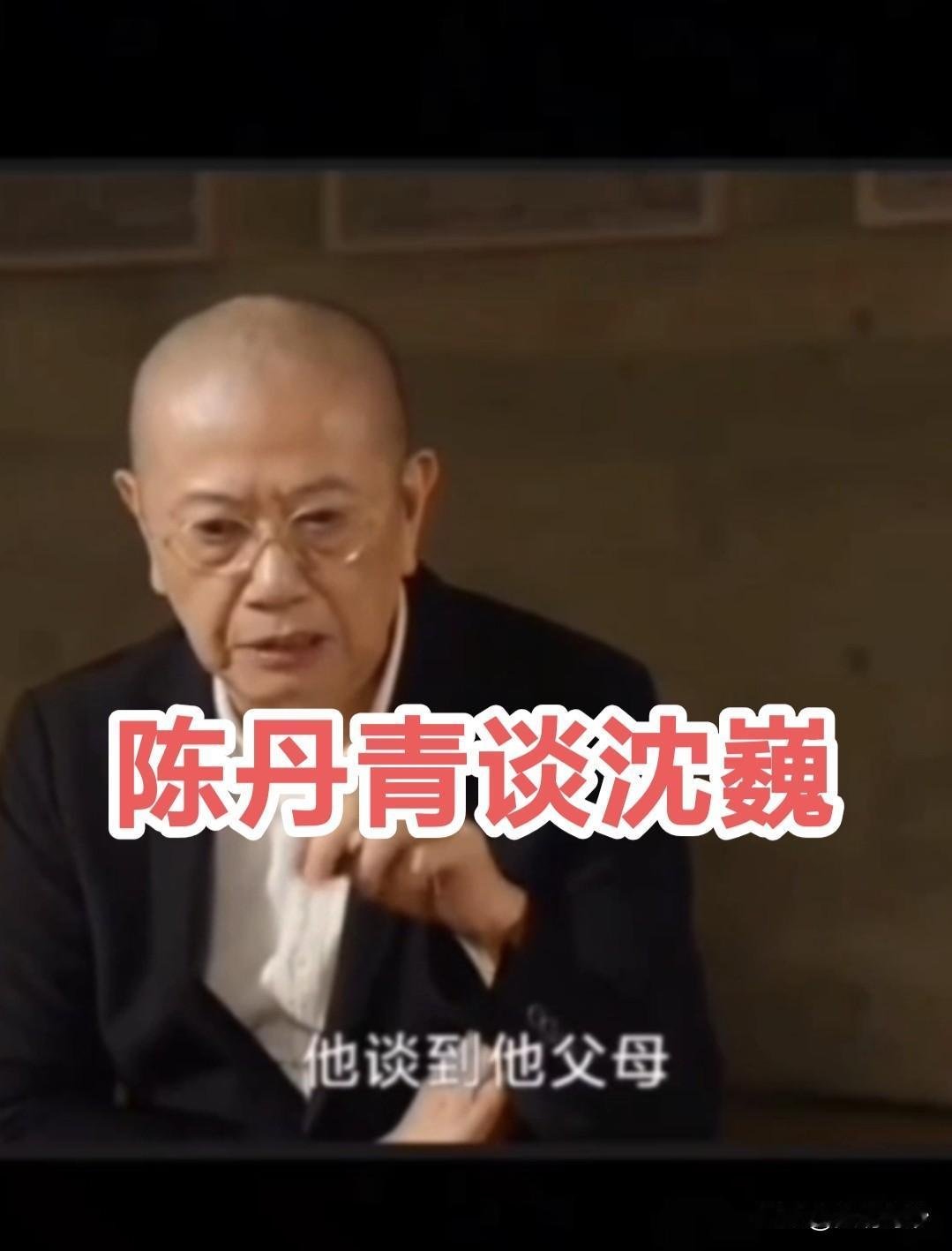 陈丹青谈沈巍：非常非常非常理解他！
 
在访谈中，陈丹青谈及流浪汉沈巍，抛出关于