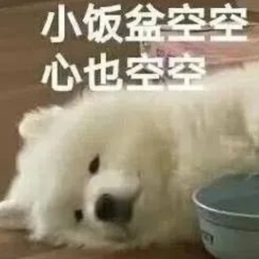 我太饿了……我现在想吃西红柿鸡蛋、宫保鸡丁、地三鲜、飘香鱼、回锅肉、锅包肉、螺狮