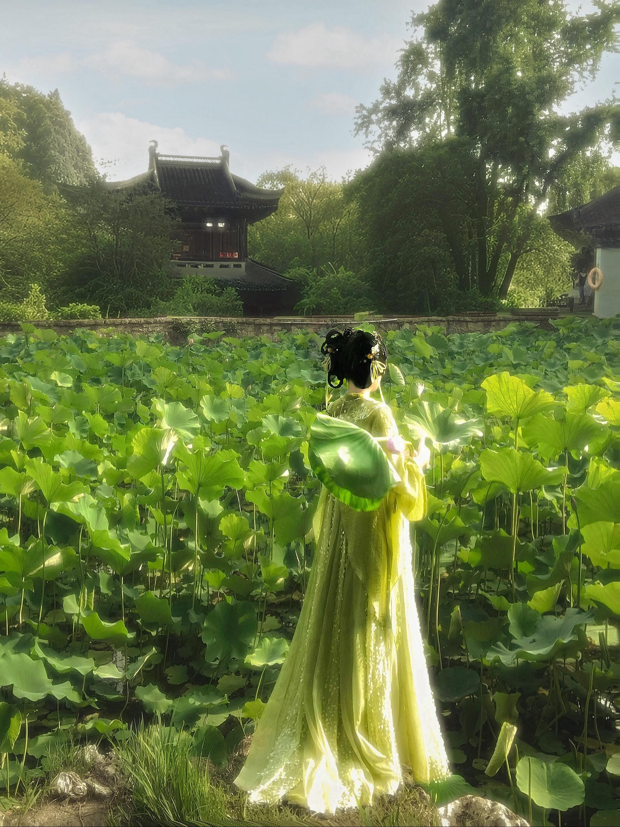 “你是来找我的吗？”古风