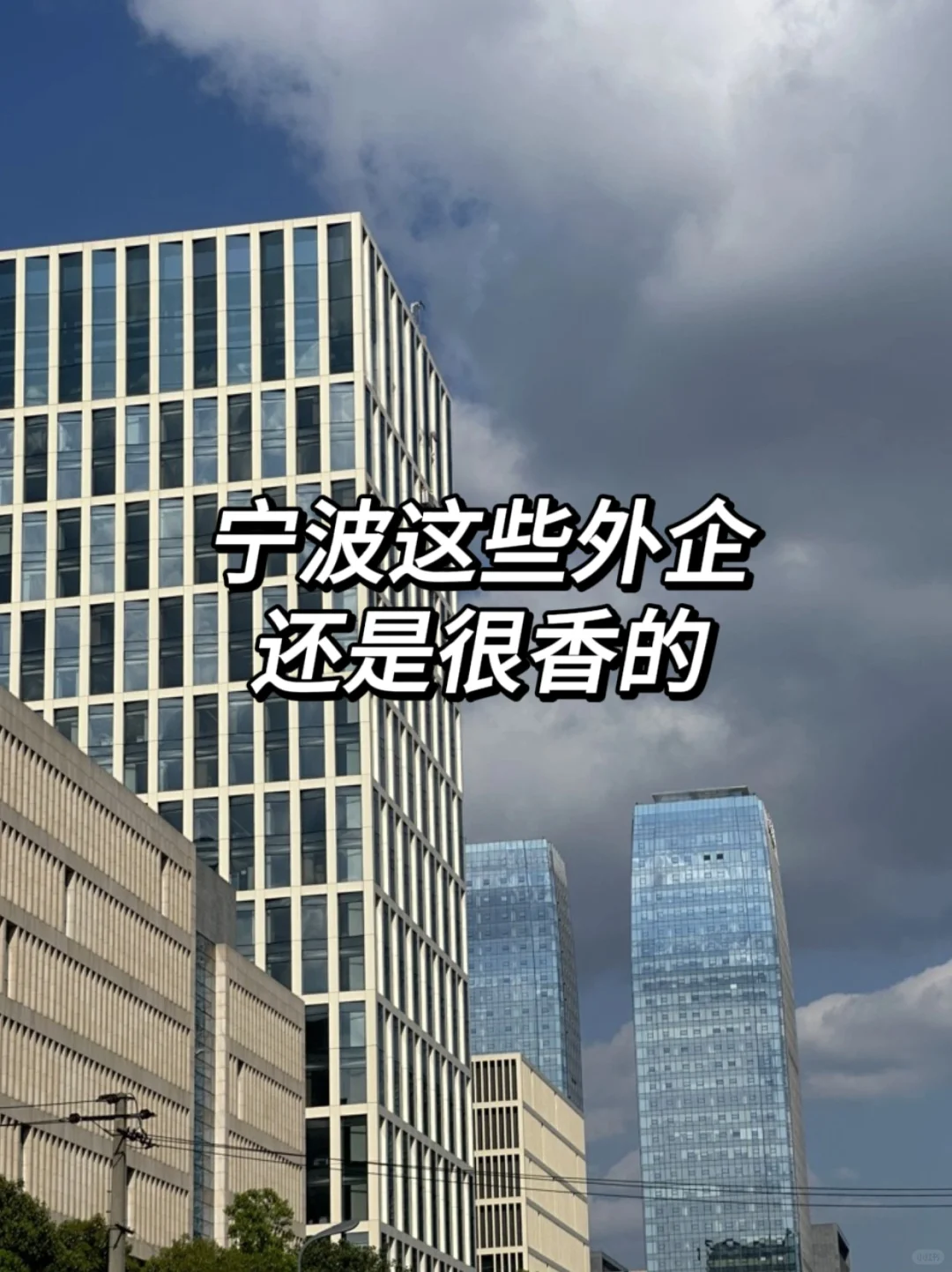 宁波这些外企还是很香的