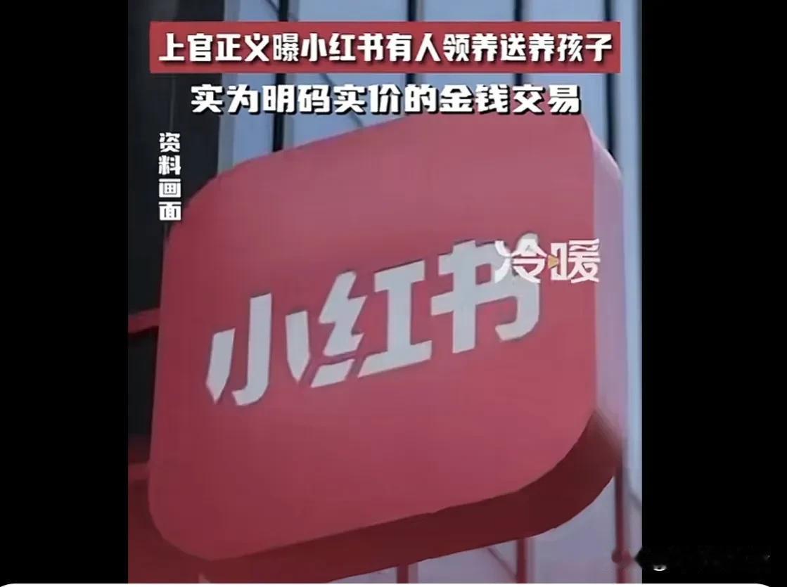 在光鲜亮丽的社交媒体背后，竟暗藏着令人发指的罪恶勾当！5月21日，知名打拐志愿者