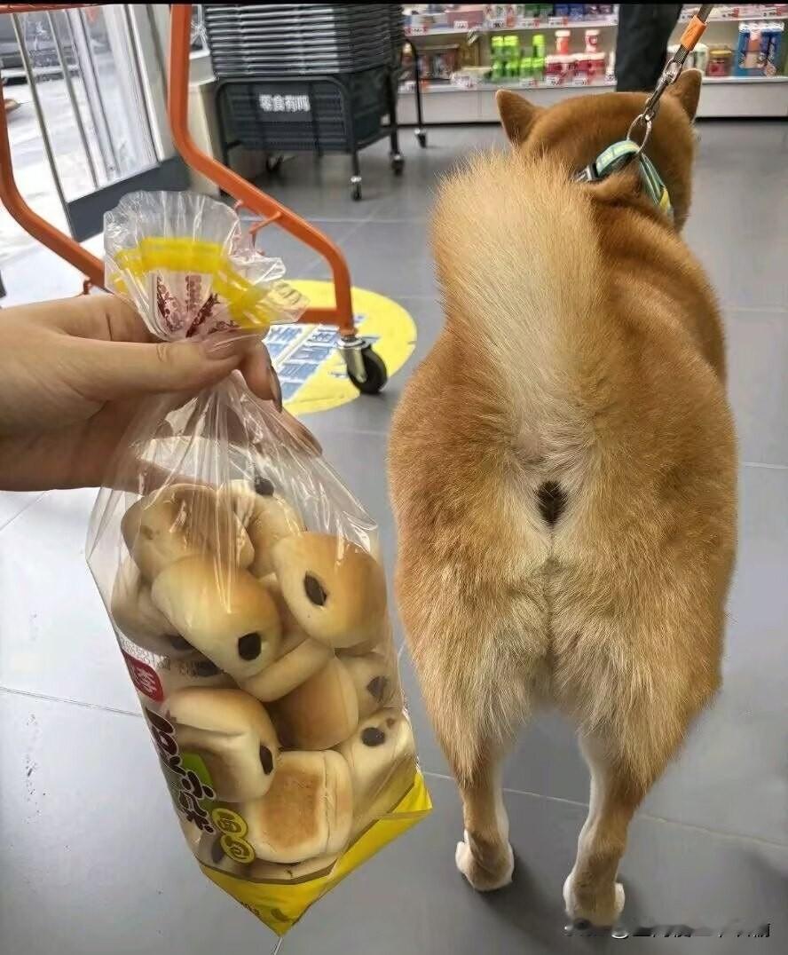 没有买卖就没有伤害