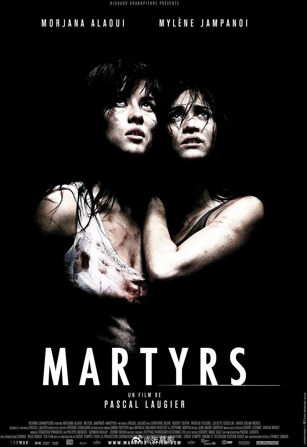 《殉难者》惊悚电影推荐法国 剧情 惊悚 恐怖2008-09-03上映评分6.7见