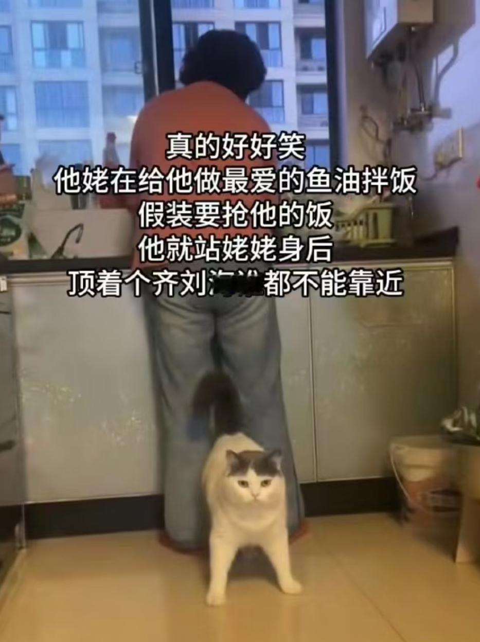 车若初见 这个齐刘海有点东西...