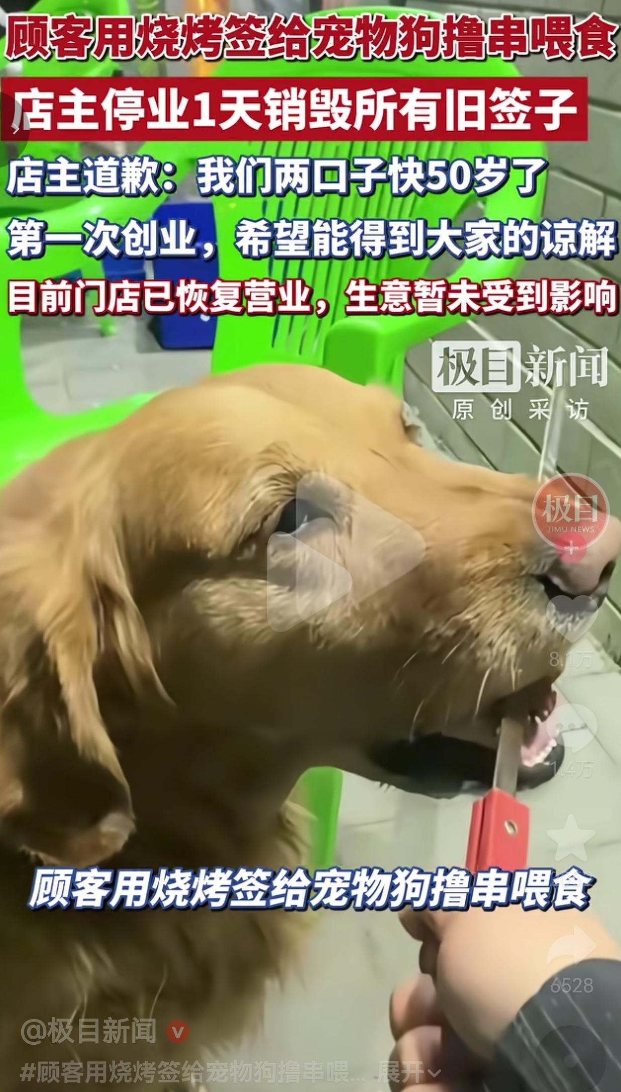 顾客拿烧烤签喂狗，老板直接停业1天，把所有签子全烧了，食物也都换成新的了！
 